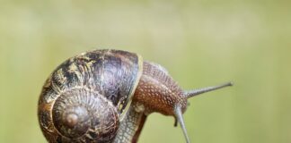 Gdzie znajduje się czujnik temperatury paliwa?